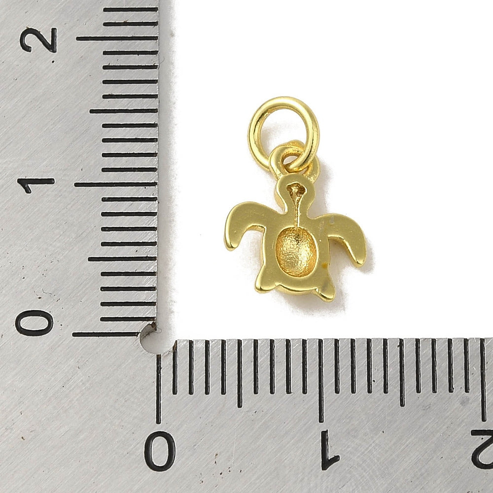Sea Turtle Charm
